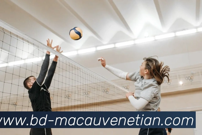 App Interface Preview